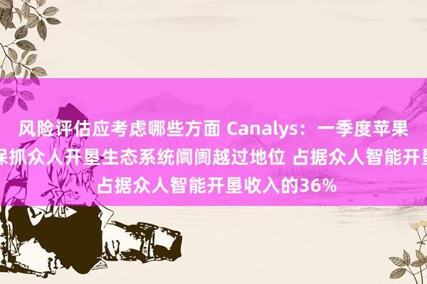 风险评估应考虑哪些方面 Canalys：一季度苹果(AAPL.US)保抓众人开垦生态系统阛阓越过地位 占据众人智能开垦收入的36%