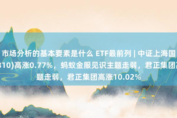 市场分析的基本要素是什么 ETF最前列 | 中证上海国企ETF(510810)高涨0.77%，蚂蚁金服见识主题走弱，君正集团高涨10.02%