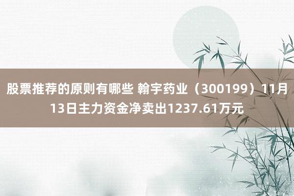 股票推荐的原则有哪些 翰宇药业（300199）11月13日主力资金净卖出1237.61万元