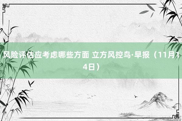 风险评估应考虑哪些方面 立方风控鸟·早报（11月14日）