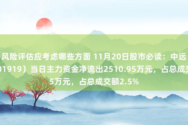 风险评估应考虑哪些方面 11月20日股市必读：中远海控（601919）当日主力资金净流出2510.95万元，占总成交额2.5%