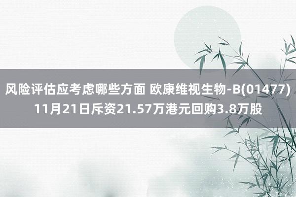 风险评估应考虑哪些方面 欧康维视生物-B(01477)11月21日斥资21.57万港元回购3.8万股