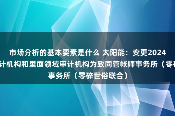 市场分析的基本要素是什么 太阳能：变更2024年度财务审计机构和里面领域审计机构为致同管帐师事务所（零碎世俗联合）