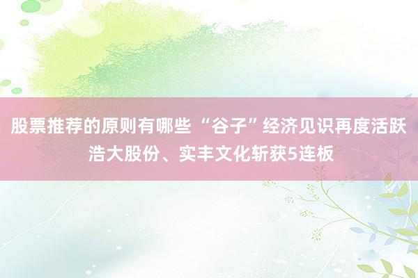 股票推荐的原则有哪些 “谷子”经济见识再度活跃 浩大股份、实丰文化斩获5连板