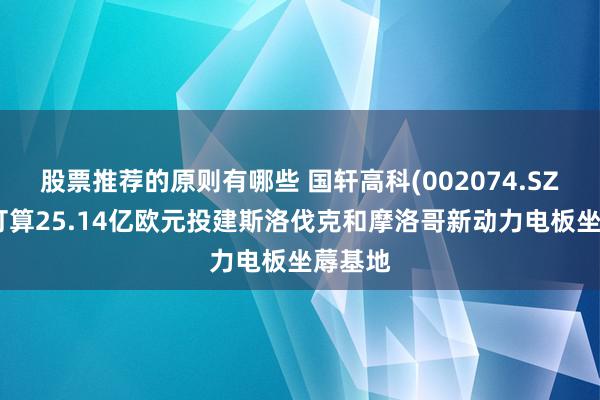 股票推荐的原则有哪些 国轩高科(002074.SZ)：拟打算25.14亿欧元投建斯洛伐克和摩洛哥新动力电板坐蓐基地