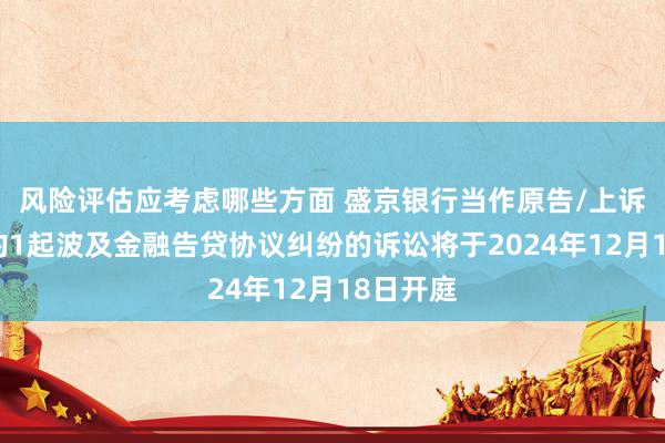 风险评估应考虑哪些方面 盛京银行当作原告/上诉东谈主的1起波及金融告贷协议纠纷的诉讼将于2024年12月18日开庭