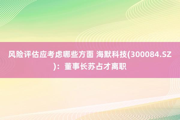 风险评估应考虑哪些方面 海默科技(300084.SZ)：董事长苏占才离职