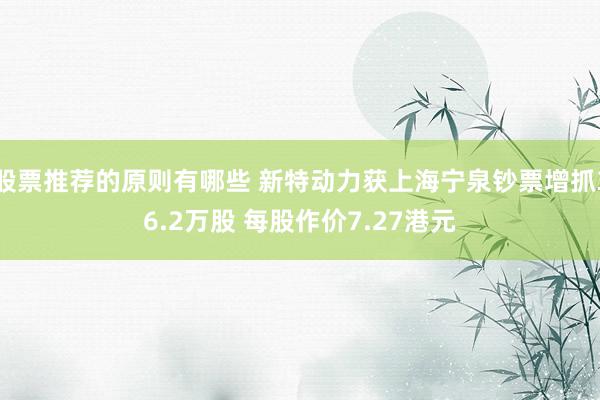 股票推荐的原则有哪些 新特动力获上海宁泉钞票增抓36.2万股 每股作价7.27港元