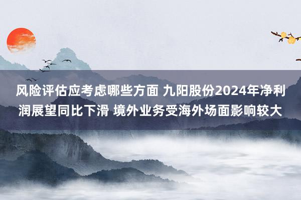 风险评估应考虑哪些方面 九阳股份2024年净利润展望同比下滑 境外业务受海外场面影响较大