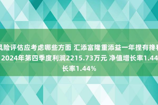 风险评估应考虑哪些方面 汇添富隆重添益一年捏有搀和：2024年第四季度利润2215.73万元 净值增长率1.44%