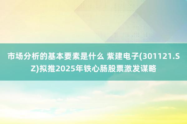 市场分析的基本要素是什么 紫建电子(301121.SZ)拟推2025年铁心肠股票激发谋略