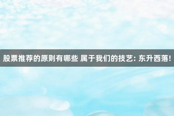 股票推荐的原则有哪些 属于我们的技艺: 东升西落!