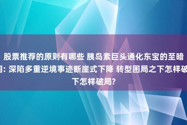 股票推荐的原则有哪些 胰岛素巨头通化东宝的至暗期间: 深陷多重逆境事迹断崖式下降 转型困局之下怎样破局?