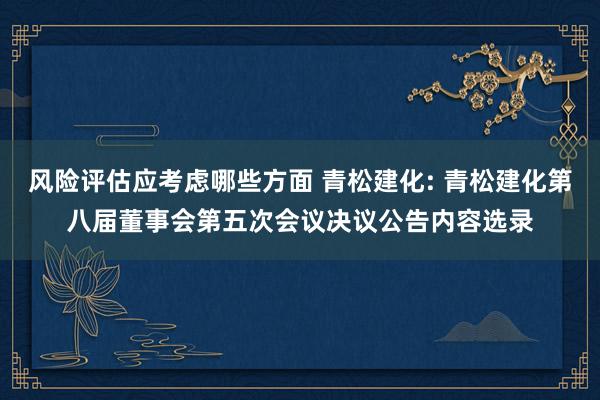 风险评估应考虑哪些方面 青松建化: 青松建化第八届董事会第五次会议决议公告内容选录