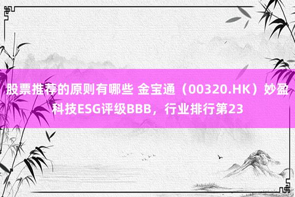 股票推荐的原则有哪些 金宝通（00320.HK）妙盈科技ESG评级BBB，行业排行第23