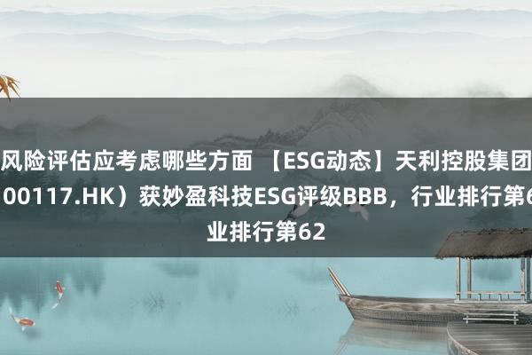 风险评估应考虑哪些方面 【ESG动态】天利控股集团（00117.HK）获妙盈科技ESG评级BBB，行业排行第62